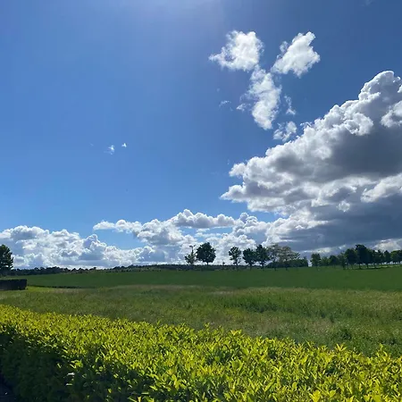 3 Stettinerhaff * Dargen