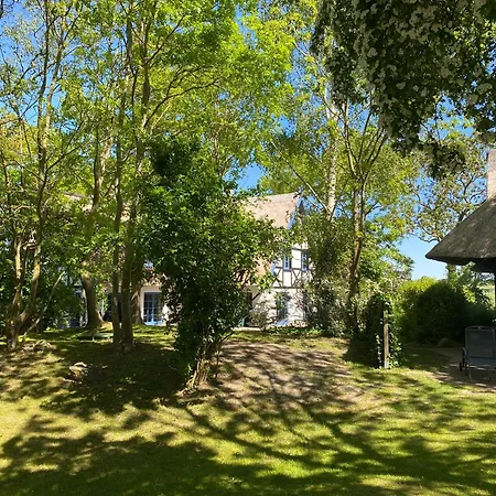 3 Stettinerhaff * Dargen