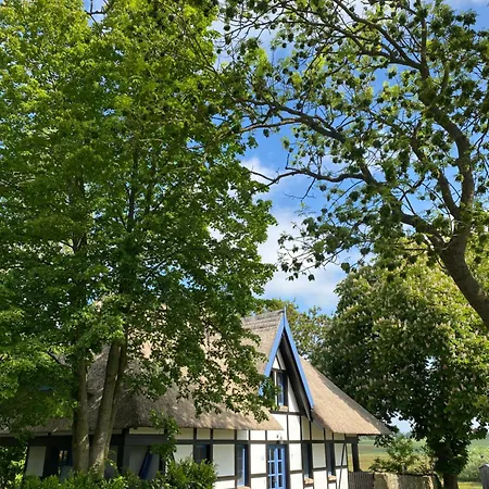 Ferienhaus 3 Stettinerhaff Dargen